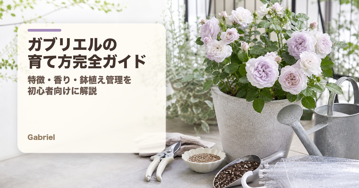ガブリエルの育て方完全ガイド アイキャッチ