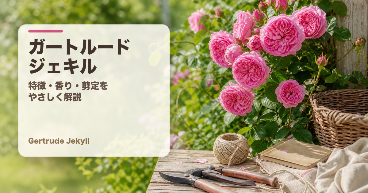 ガートルード・ジェキル完全ガイド アイキャッチ