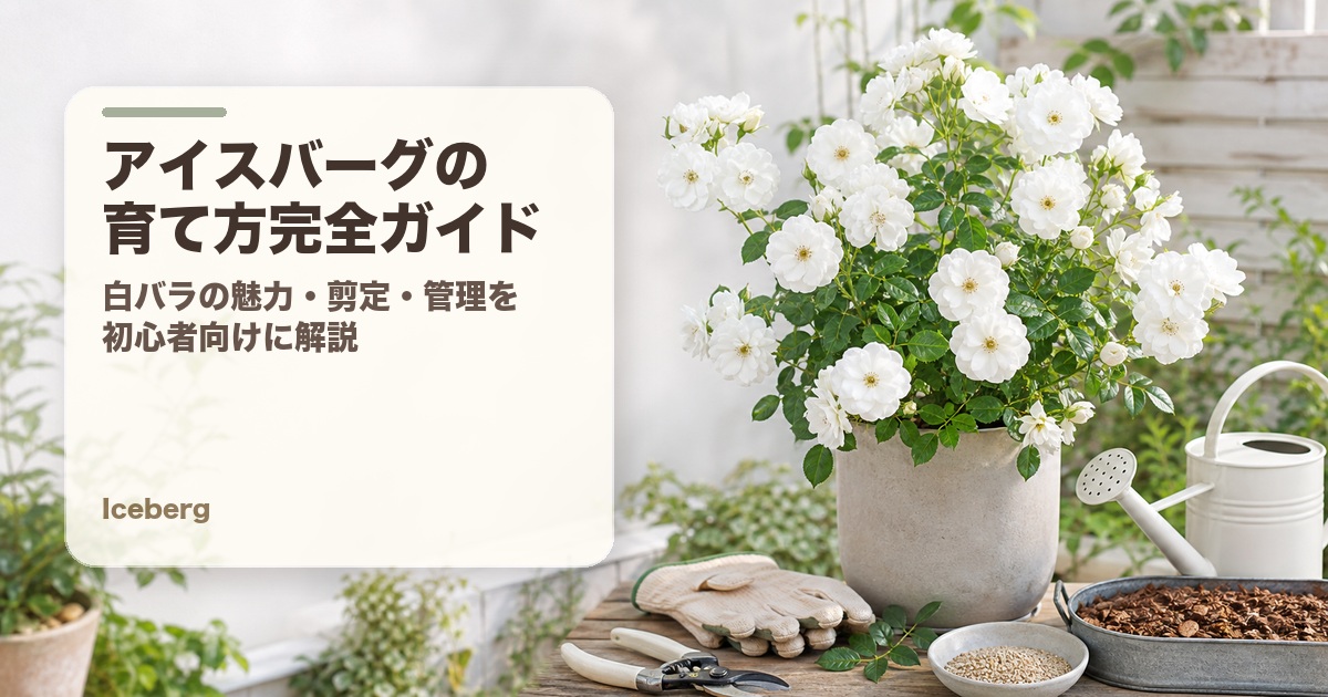 アイスバーグの育て方完全ガイド アイキャッチ