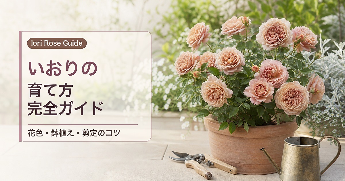 いおりの育て方完全ガイド アイキャッチ画像 修正版